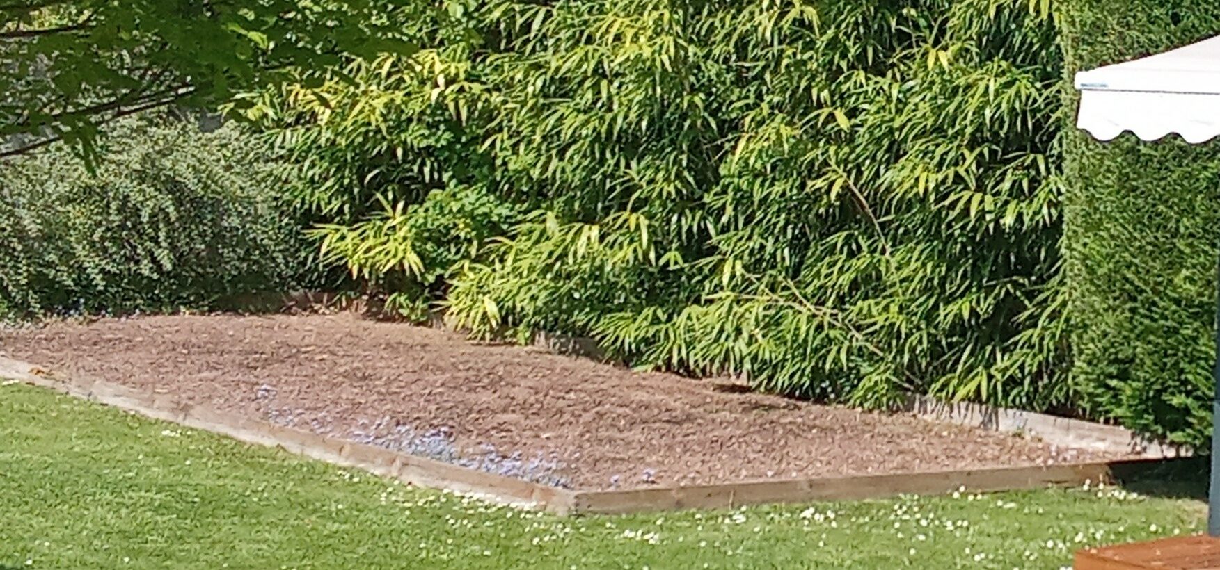 Terrain de pétanque