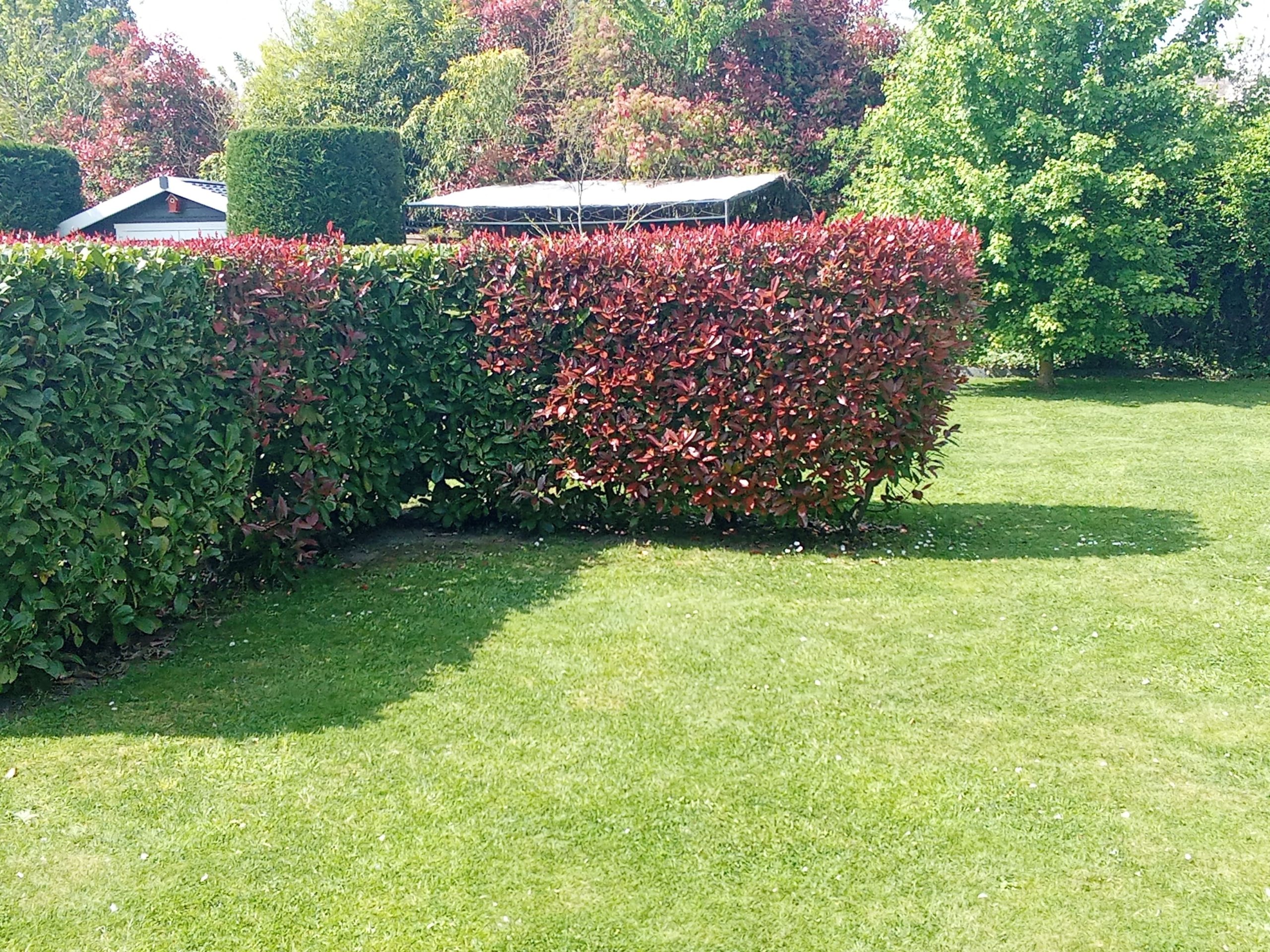 endroit pour bronser